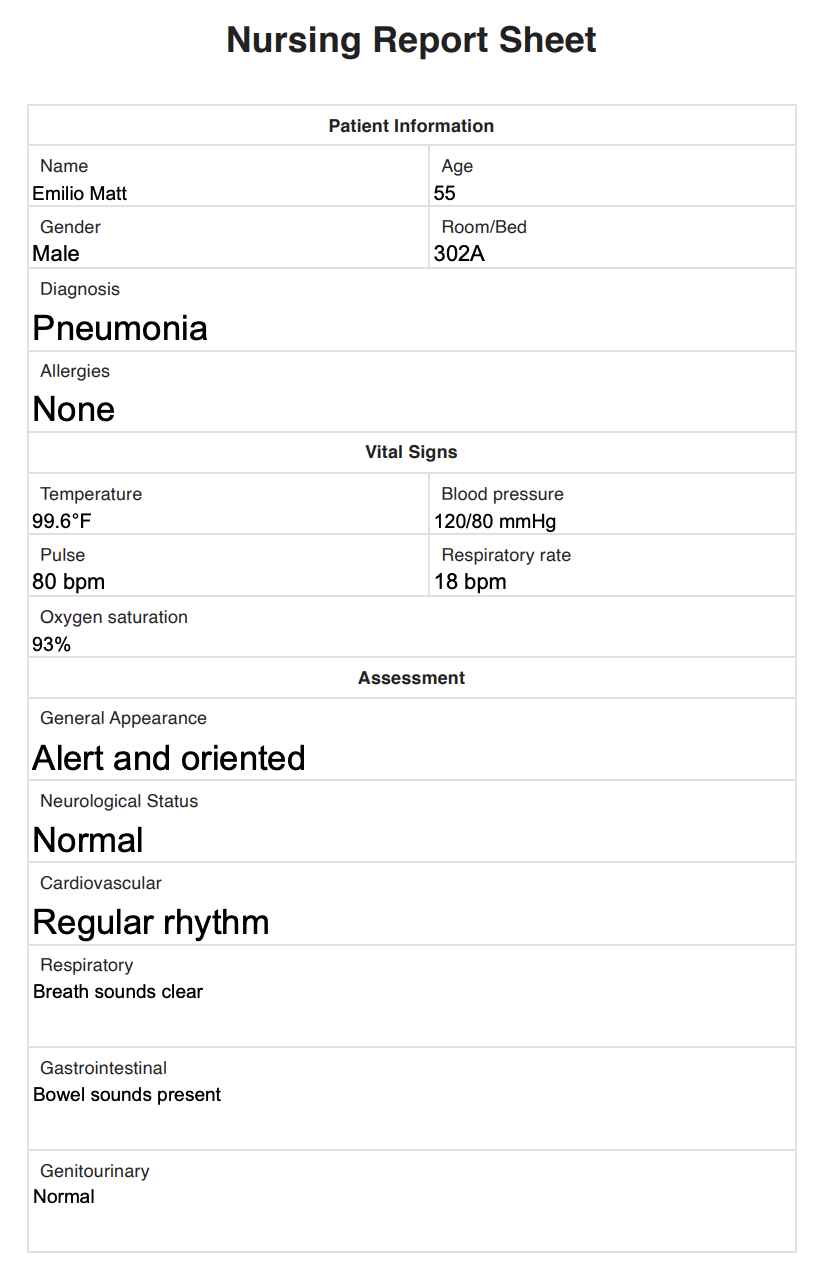 Nursing Report Sheet Example Free PDF Download